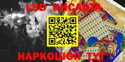 стаф Новокубанск