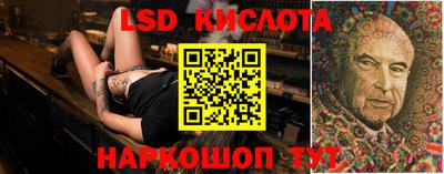 стаф Новокубанск