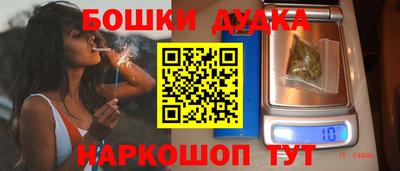 стаф Новокубанск
