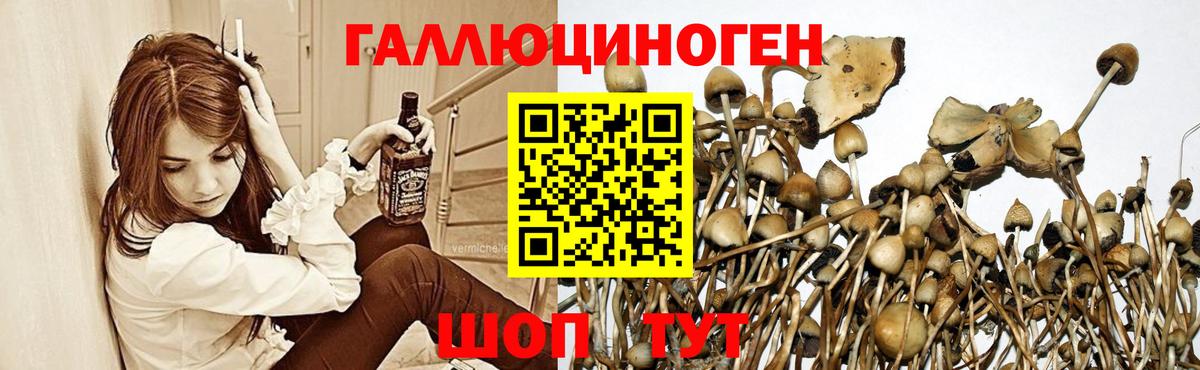 Галлюциногенные грибы прущие грибы  Вход с VPN  Фрязино 